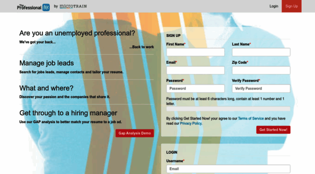 dev.theprofessional.me