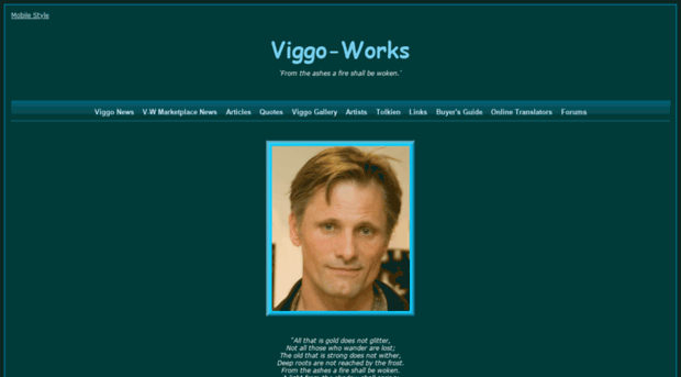 dev.viggo-works.com