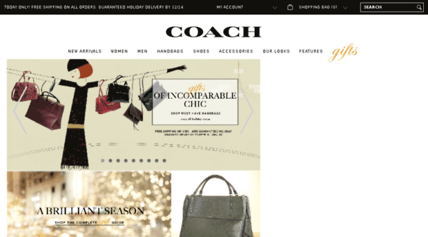 dev2.coach.com