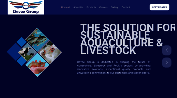 deveegroup.com