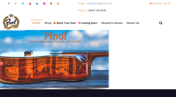 develop.pinolguitars.com