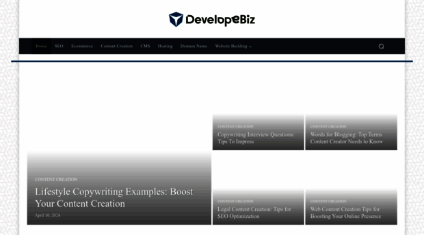 developebiz.com