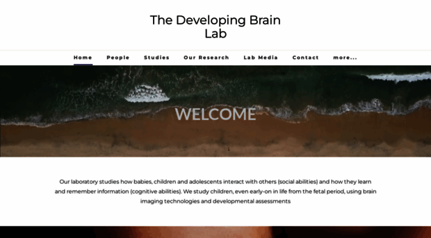 developingbrain.ca