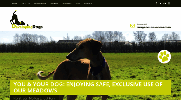 developingdogs.co.uk