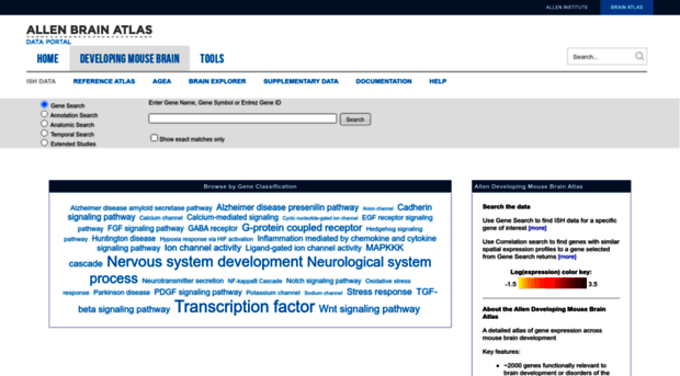 developingmouse.brain-map.org
