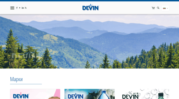 devin-bg.com