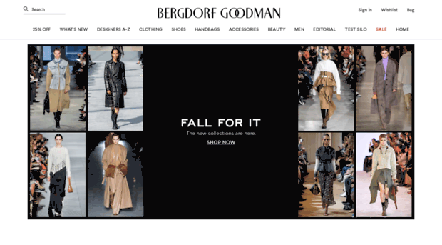 devint.bergdorfgoodman.com