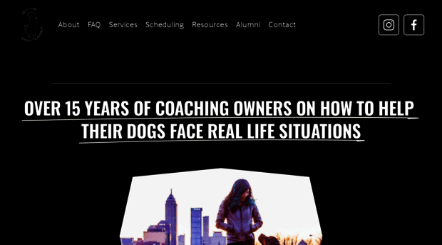 devithedogtrainer.com