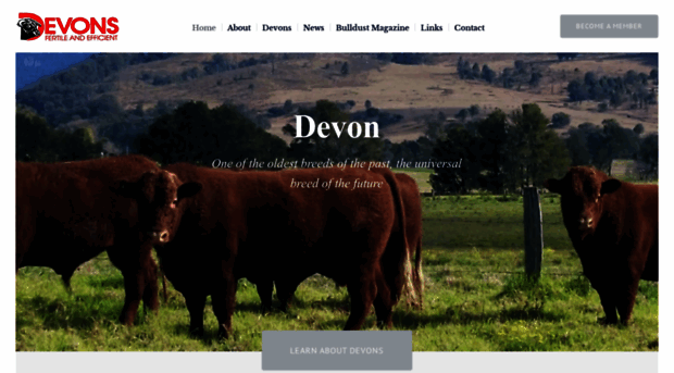 devoncattle.com