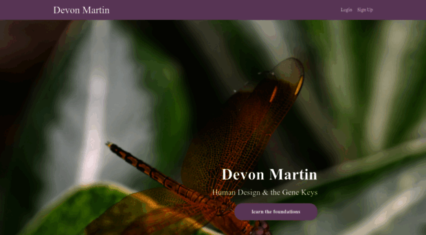 devonmartin.teachable.com