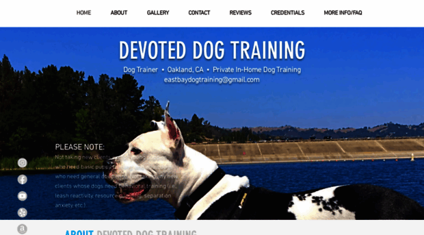 devoted-dog.com