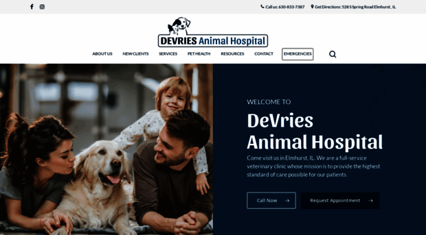 devriesanimalhospital.com