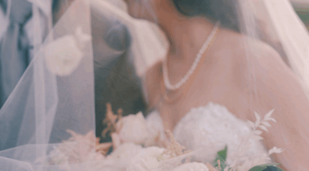 devriesproductions.com