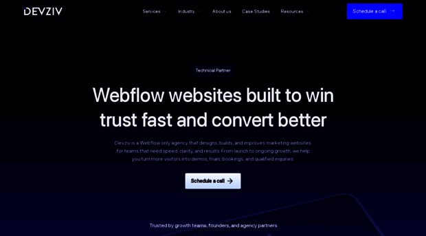 devziv.com