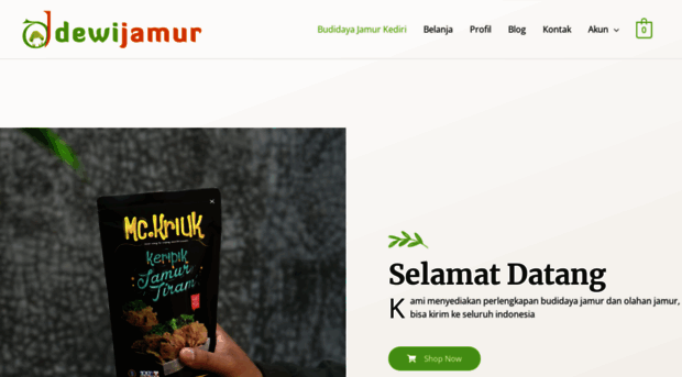 dewijamur.com