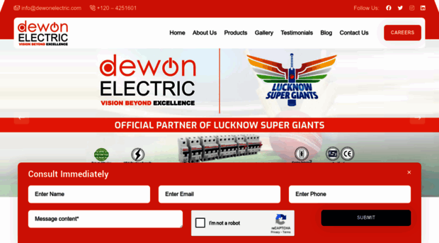 dewonelectric.com