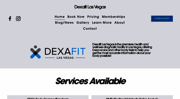 dexafitlv.com