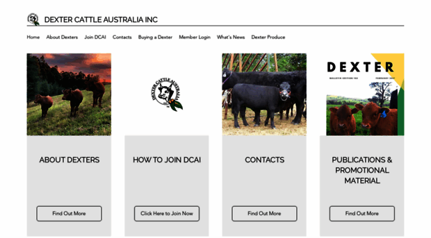 dextercattle.org.au