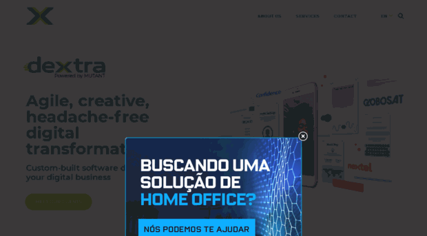 dextraining.com.br