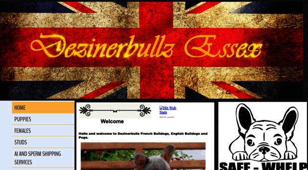 dezinerbullz.co.uk