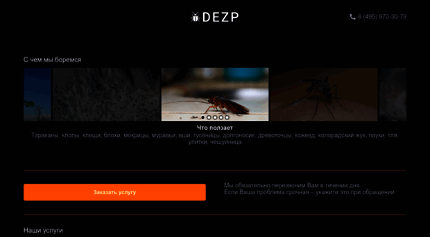 dezp.ru