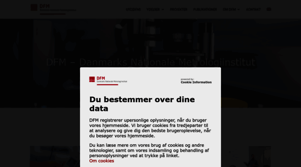 dfm.dk