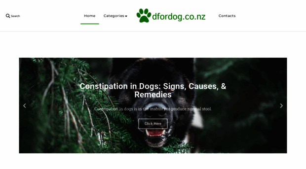 dfordog.co.nz