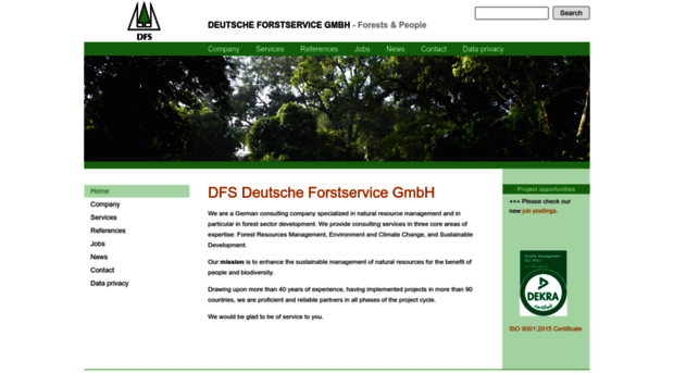 dfs-online.de