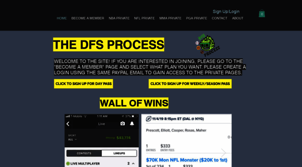 dfsprocess.net