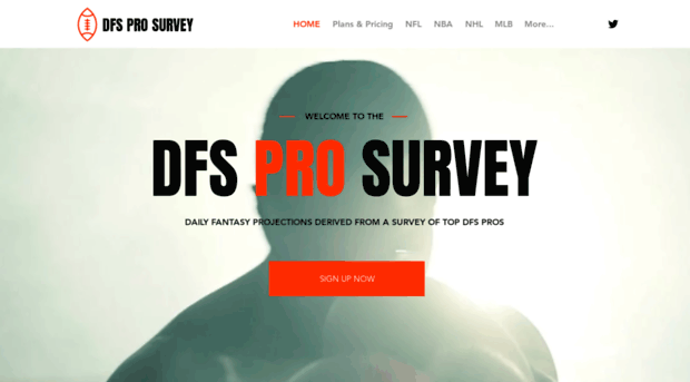 dfsprosurvey.com