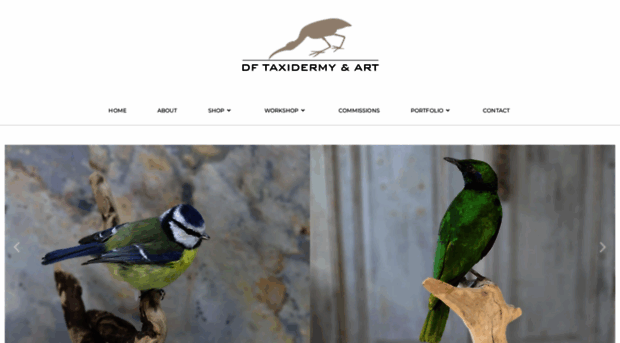 dftaxidermy.com