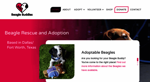 dfwbeaglebuddies.org