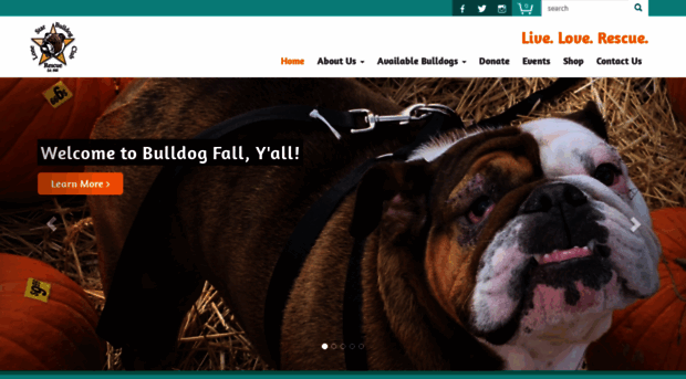 dfwbulldogrescue.org