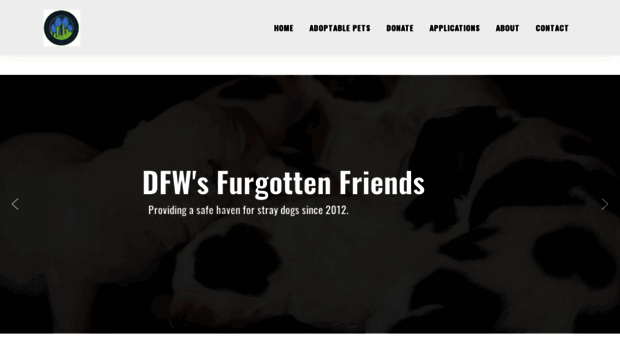 dfwfgf.org