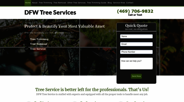 dfwtreeservices.com