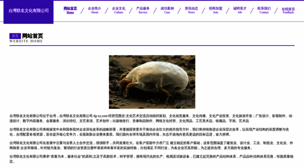 dg-xy.com