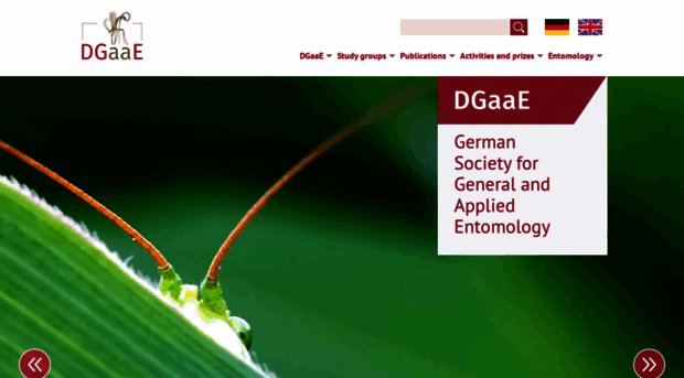 dgaae.de