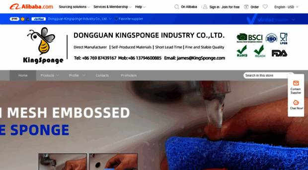 dgkingsponge.en.alibaba.com