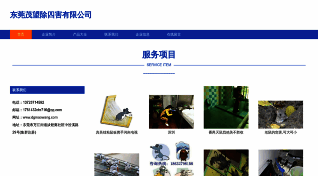 dgmaowang.com