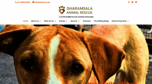 dharamsalaanimalrescue.org