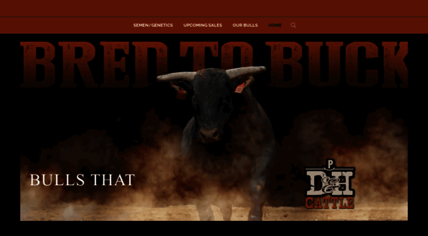 dhcattle.com