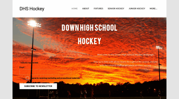 dhs-hockey.weebly.com