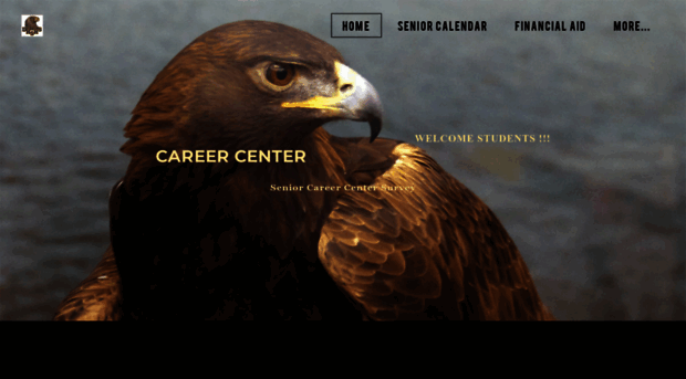 dhshscareercenter.weebly.com