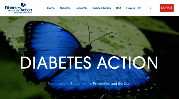 diabetesaction.org