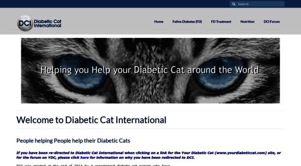 diabeticcatinternational.com