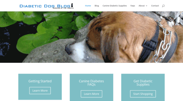 diabeticdogblog.com