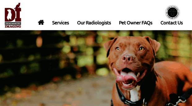 diagnosticimagingforanimals.com