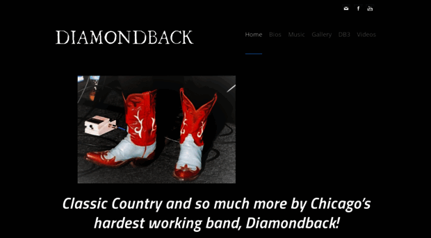 diamondbackchicago.com