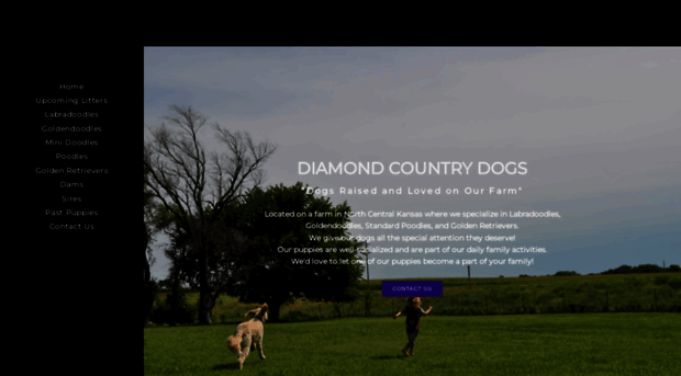 diamondcountrydogs.com