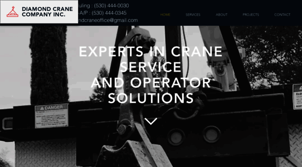 diamondcranecompany.com